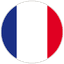 flag logo